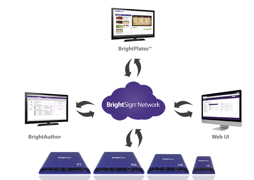 BrightSign Network Lizenz - Laufzeit: 1 Jahr / Player(ABO)